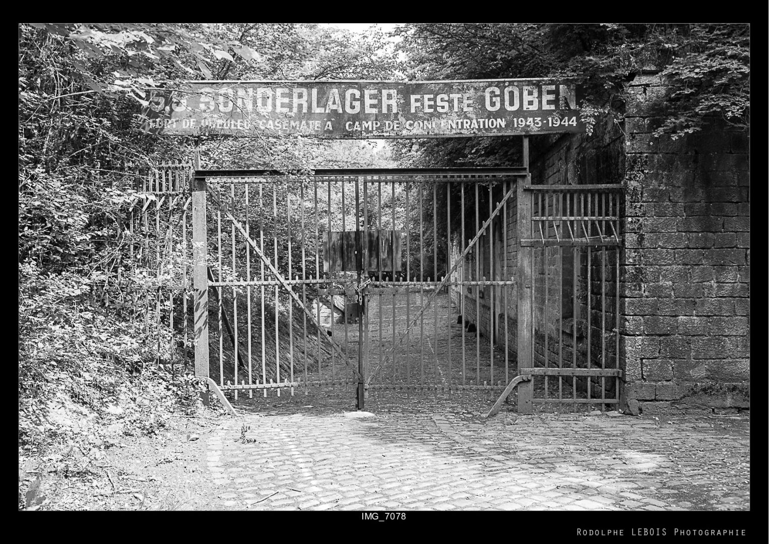 Pour en savoir plus site